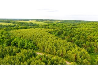 Property photo 28 - LAND AUCTION - 1,050+/- ACRES OFFERED IN 21 TRACTS PLUS 450+/- ACRE HUNTING LEASE IN MUSKINGUM COUNTY, OHIO